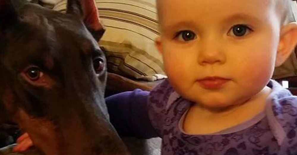 Source: GoFundMe Copper and Connor's younger sister.