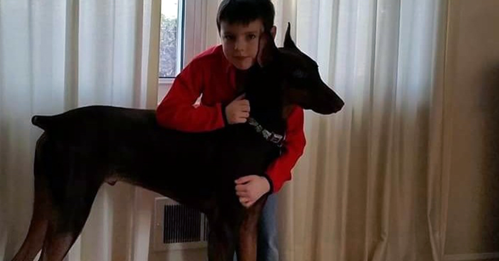 Source: GoFundMe Connor and Copper.