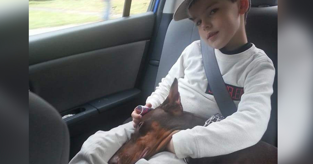 Source: GoFundMe Copper comforts Connor when the boy is feeling anxious, or suffering from seizures.