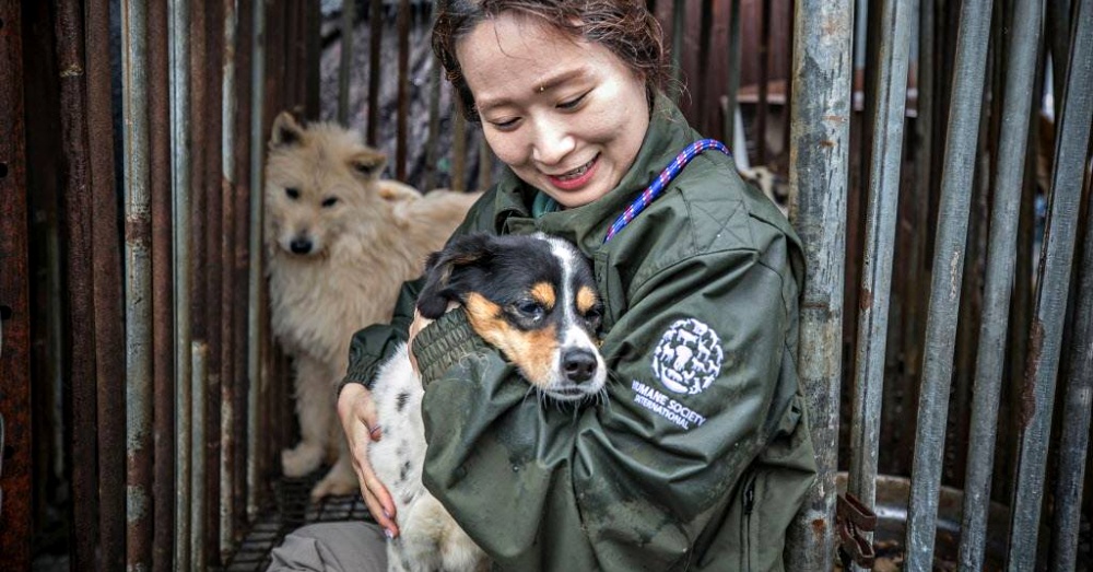 Photo: Facebook/Humane Society International
