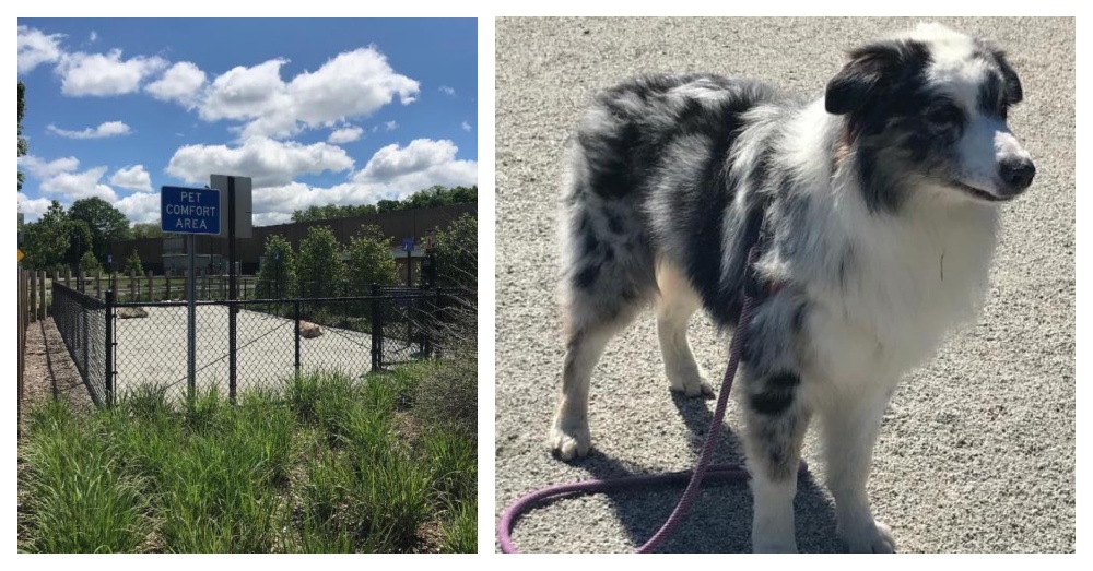Photos: Facebook/ Suffolk County SPCA