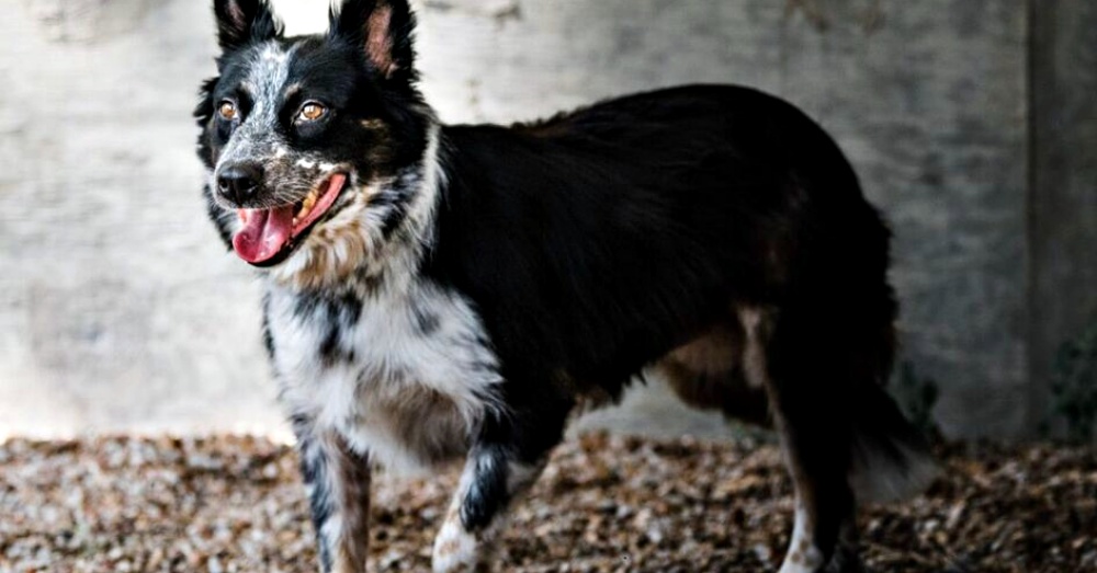 Ivy: Passenger on next Flight to Freedom