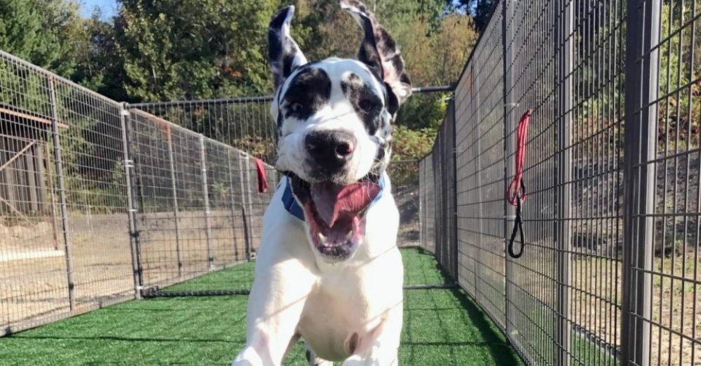 Photo: Facebook/The Humane Society of the United States