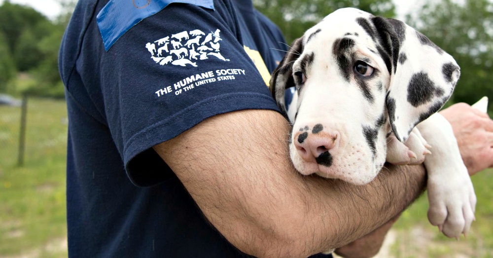 Photo: Facebook/The Humane Society of the United States