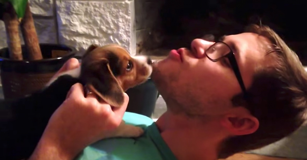 Source: YouTube/Mikael Cramer Moose is learning to howl.
