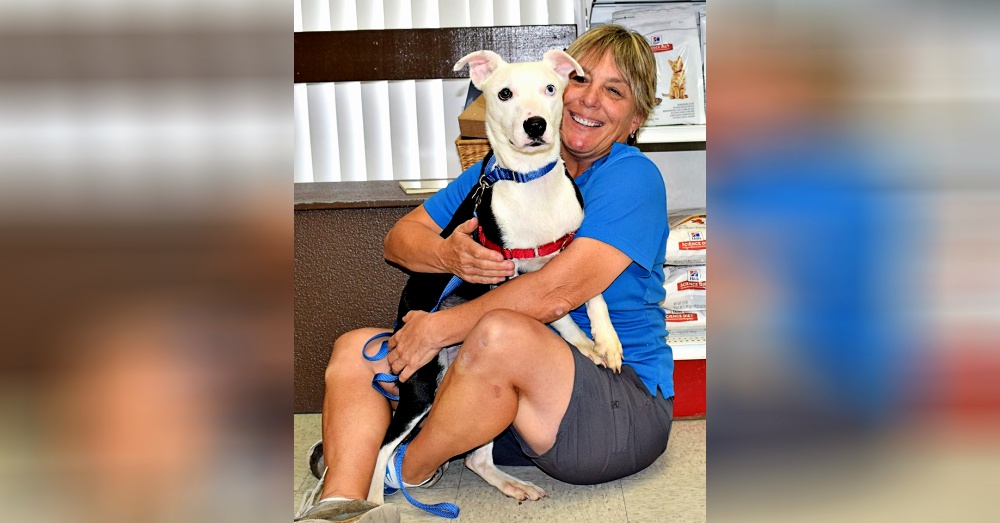 Photo: Facebook/Humane Society of Sarasota County