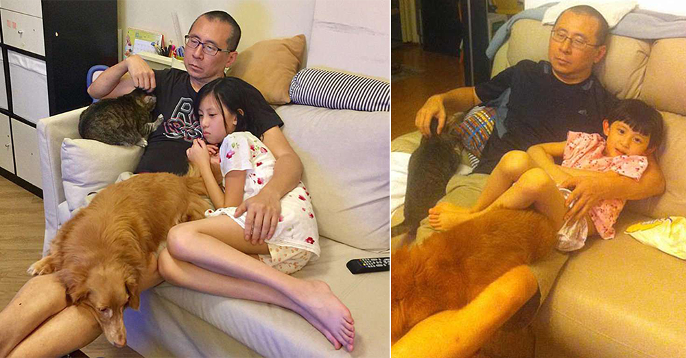 Source: YouTube/MSS Official Some commenters on Weibo have noted, even the sofa is the same in each picture.