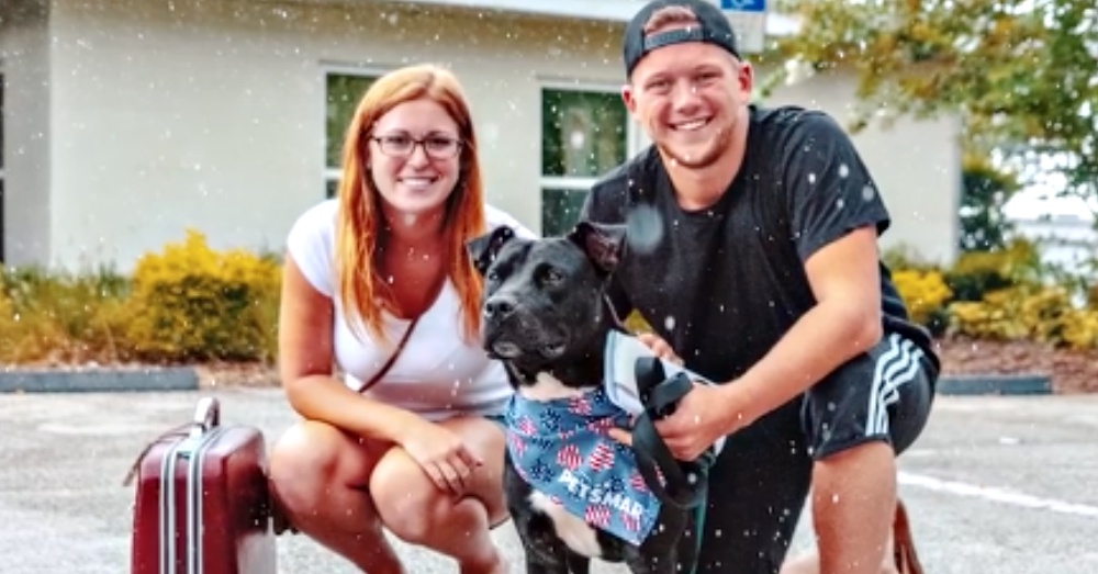 Screen Shot: Facebook/Lake County Florida Animal Shelter