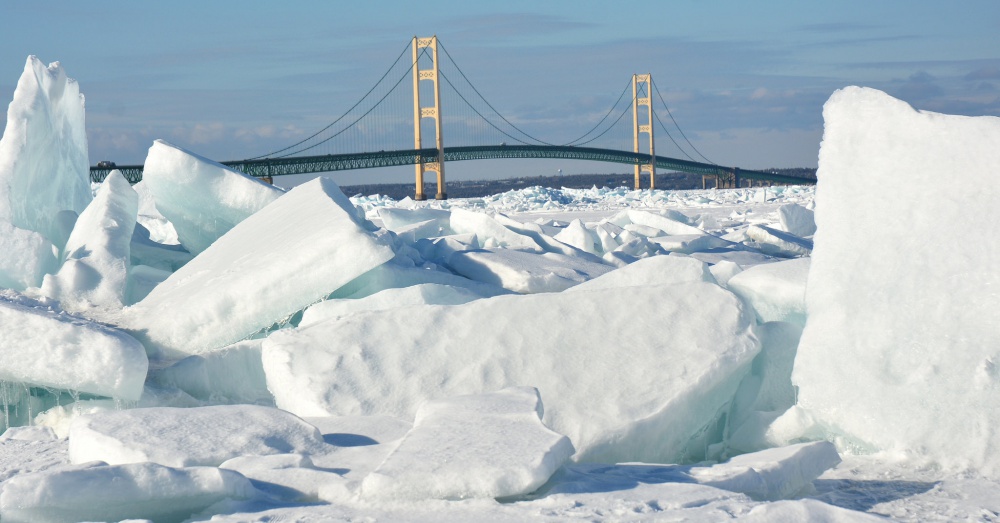 Photo: Flickr/Jim Hudgins/USFWS