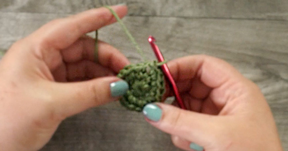 cactus crochet 1