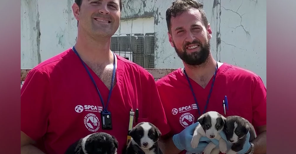 Source: YouTube/The Dodo The Clean Futures Fund was founded by Erik Kambarian and Lucas Hixson.