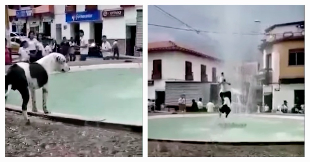 Screen Shots: YouTube/Daily Mail