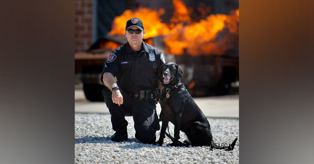 Source: flickr/State Farm Not every dog passes the fire accelerant certification test. Those that do are truly skilled!