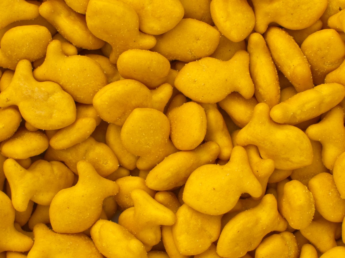 goldfish-crackers 2