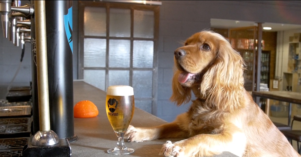 Photo: Brewdog