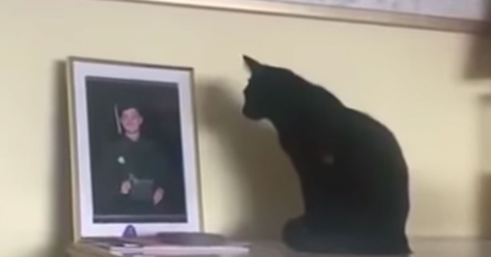 Source: YouTube/Stephen Messenger Yuuki stares at the photo of Max.