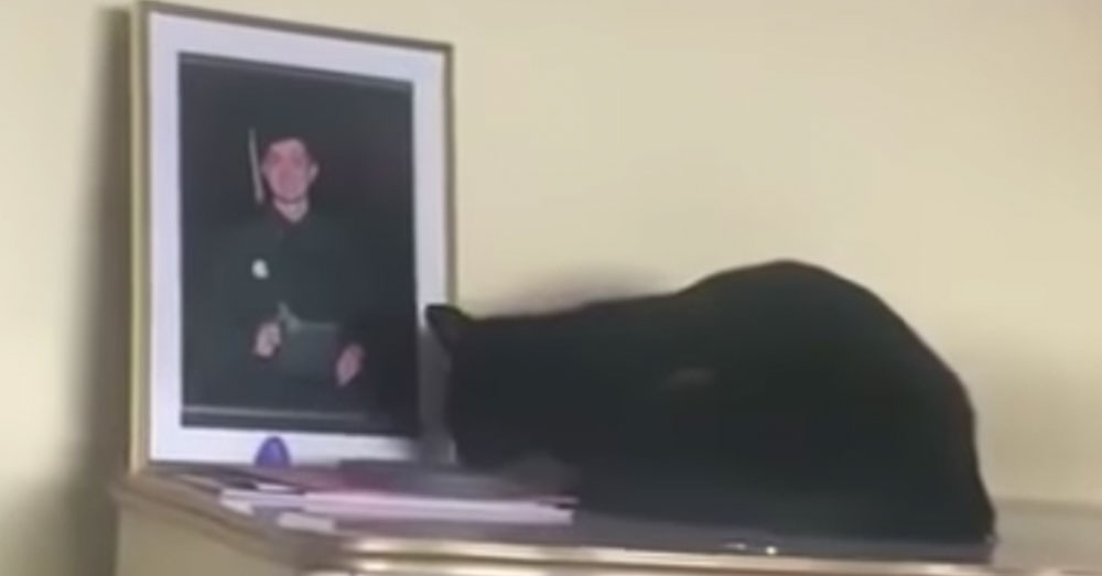 Source: YouTube/Stephen Messenger Yuuki was inconsolable when Max joined the Navy.