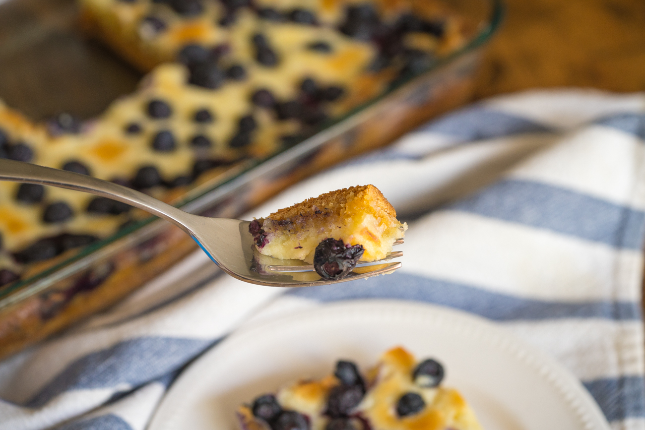 Blueberry Gooey Butter Cake Horizontal (12 of 12)