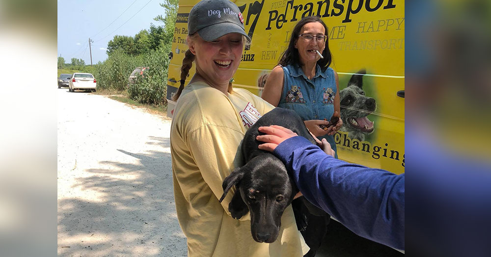 Source: Facebook/AHeinz 57 Pet Rescue and Transport Amy Heinz, owner of AHeinz Pet Rescue and Transport, is asking pet owners to never abandon their animals like this.