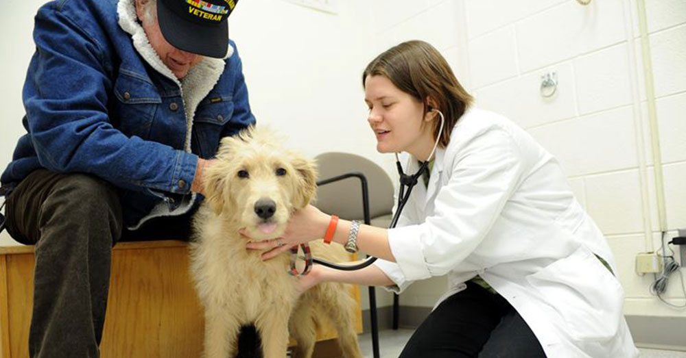 Source: U.S. Air Force Veterinarians have been warned to screen their clients more rigorously.