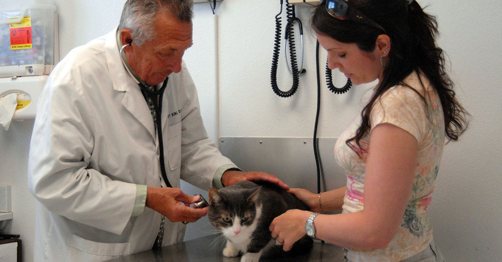 Source: U.S. Air Force Opioid abuse is a serious problem, and animals are the latest victims.