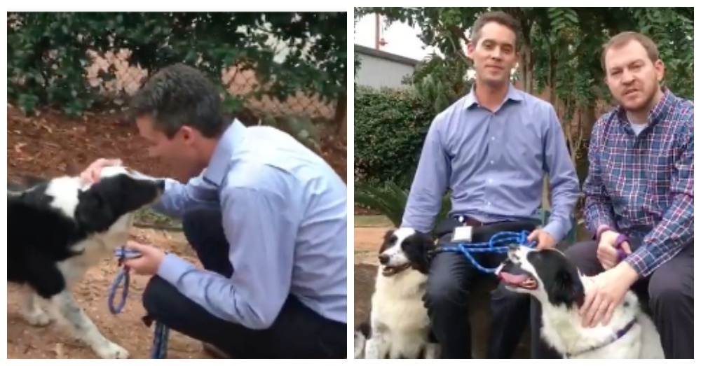 Screen Shots: Facebook/Houston Humane Society