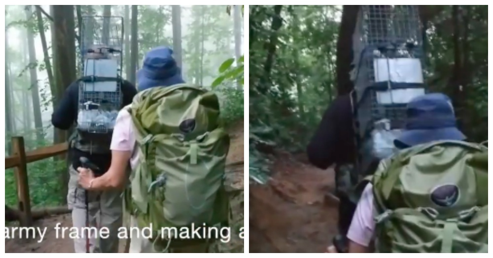 Screen Shots: Facebook/Brother Wolf Animal Rescue