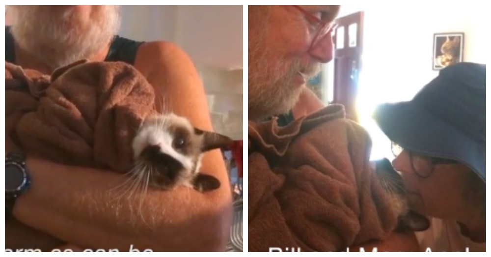 Screen Shots: Facebook/Brother Wolf Animal Rescue