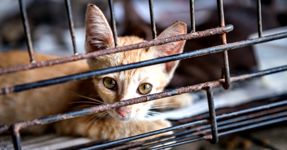 Adobe Stock: ponsatorn