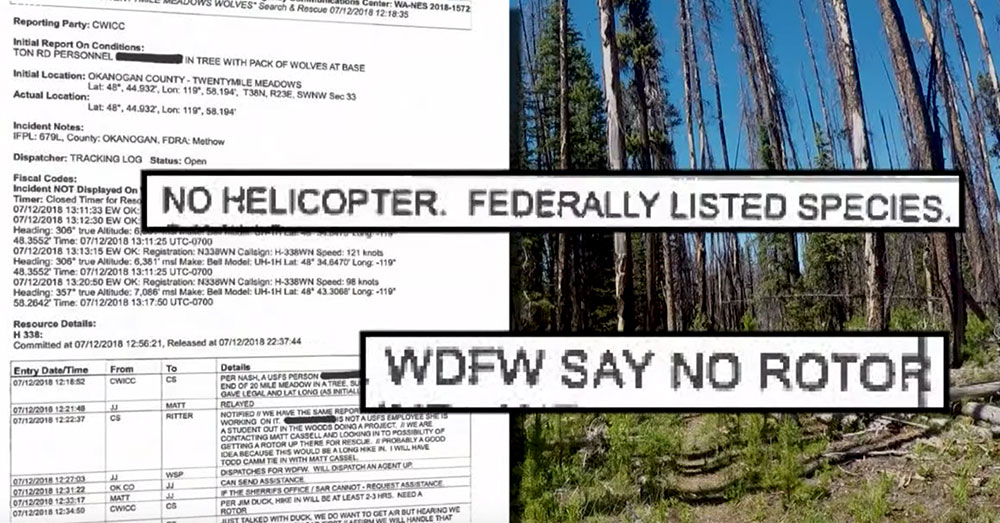 Source: YouTube/KREM2 The state Fish and Wildlife department demanded that no helicopters be used in the rescue, though the woman was located deep within the wilderness.