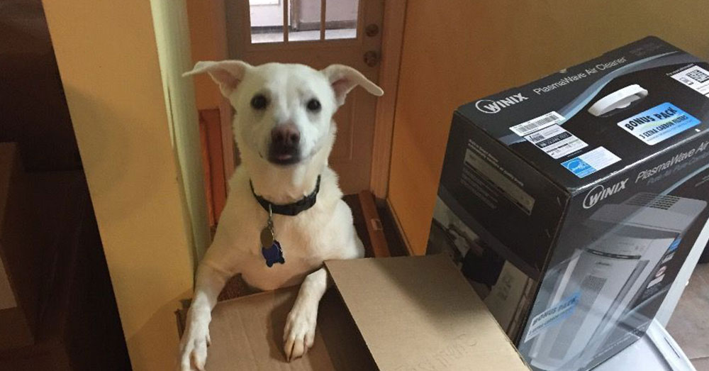 Source: GoFundMe Moses was beloved by all members of the family.