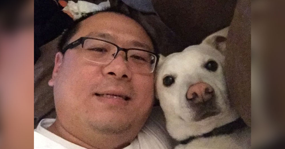 Source: GoFundMe Tony Wang had just bought Moses' favorite treat when he heard his dog had been euthanized by mistake.