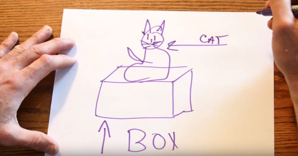 Photo: YouTube/Purrfect Cat Box