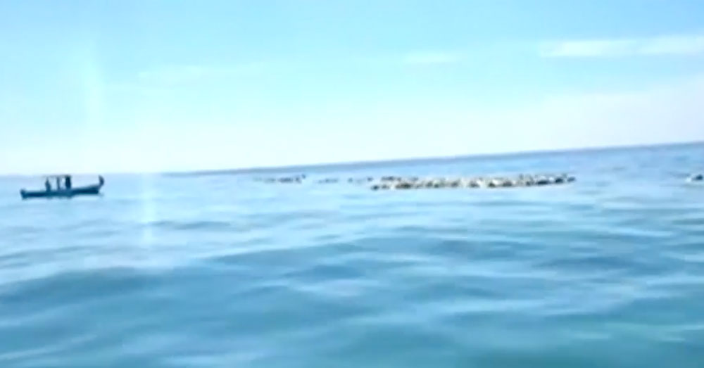 Source: YouTube/Arab News