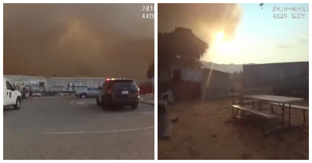 Screen Shots: Facebook/SPCA of Solano County