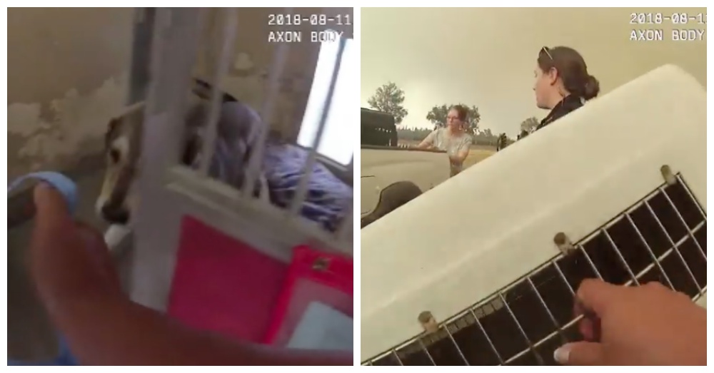 Screen Shots: Facebook/SPCA of Solano County