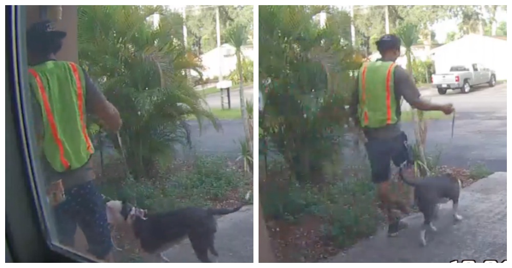 Screen Shots: Facebook/The Davie Police Department