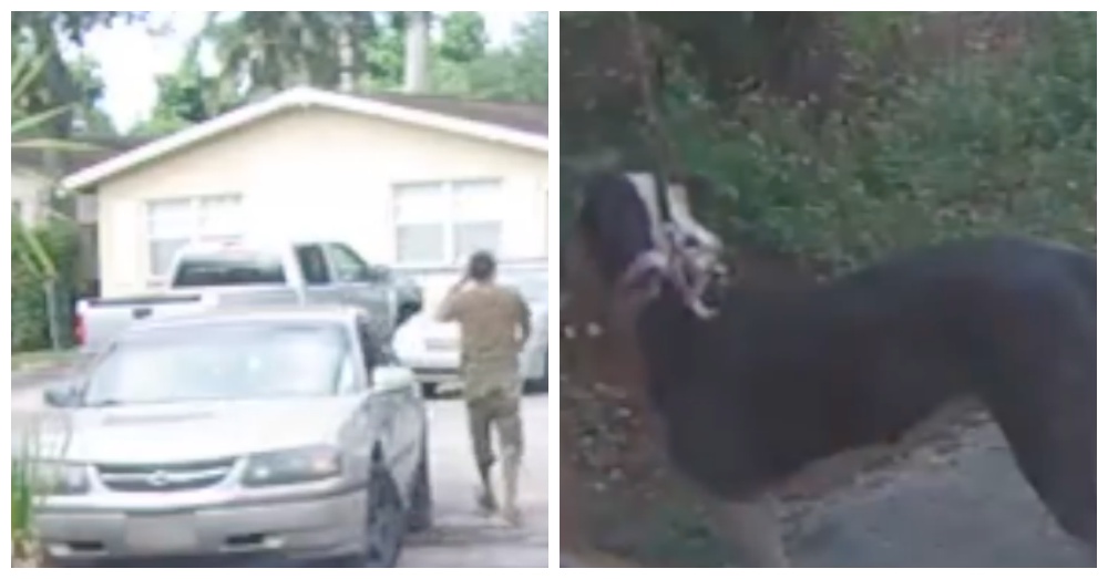 Screen Shots: Facebook/The Davie Police Department