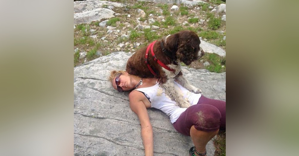 Photo: Facebook/Boomer the miracle dog