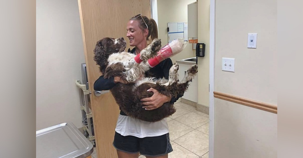Photo: Facebook/Boomer the miracle dog