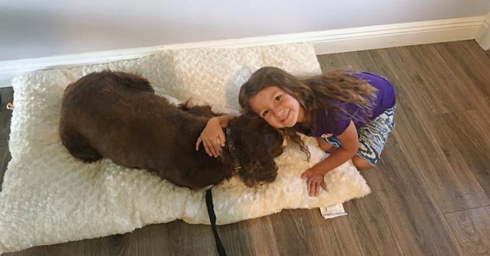 Photo: Facebook/Boomer the miracle dog