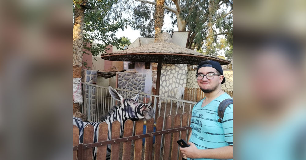Source: Mahmoud Sarhan Mahmoud Sarhan caught this picture of what seems to be a painted donkey at a zoo in Cairo, Egypt.