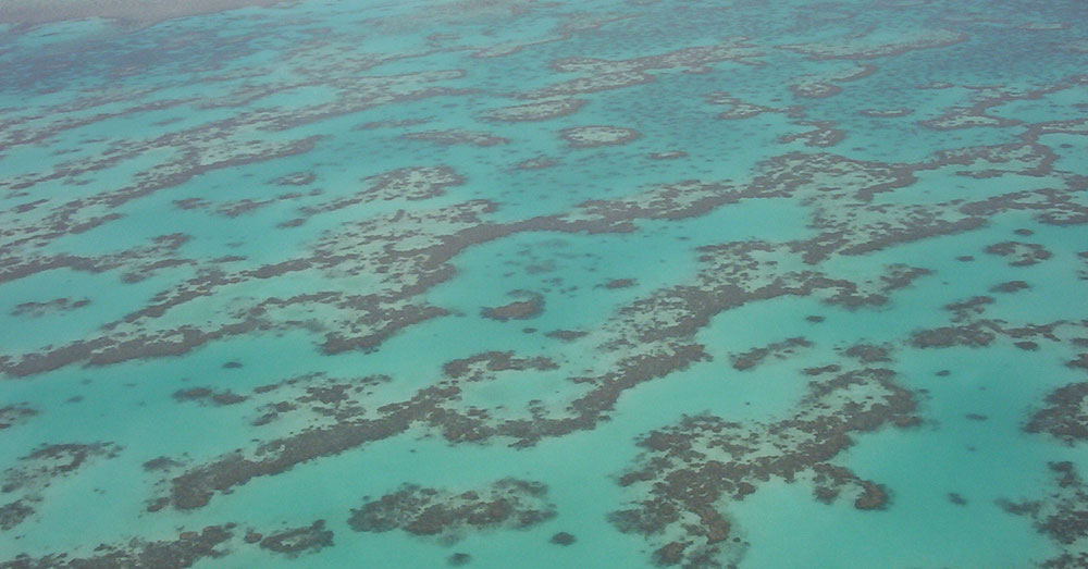 Source: Wikimedia Commons The Great Barrier Reef from above.