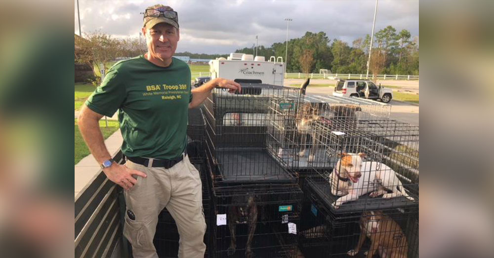 Source: Facebook/Peak Lab Rescue A transport team from Peak Lab Rescue helped save more of the animals after the people were rescued on Saturday.