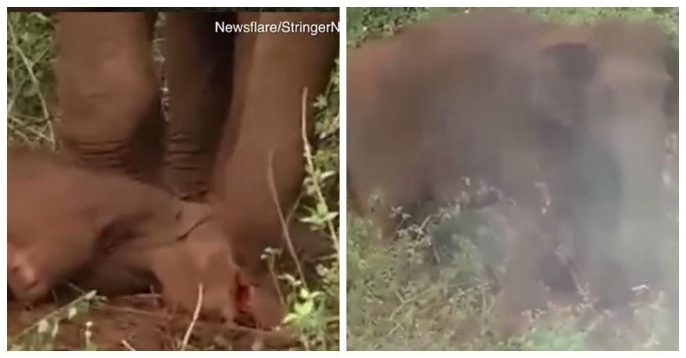 Screen Shots: The Daily Mail