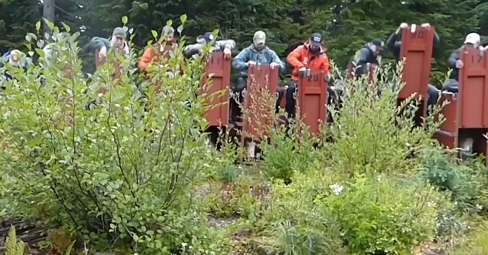 Source: YouTube/Inside Edition Hundreds of goats have been transported by helicopter to the Cascades.