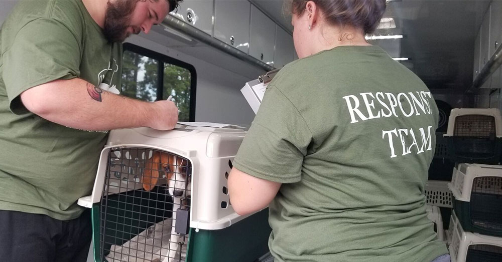 Source: Charleston Animal Society Charleston Animal Services started evacuating animals on Tuesday, Sept. 11.