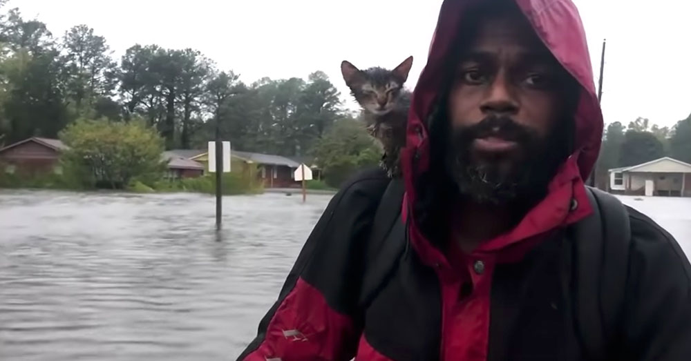 Source: YouTube/Charlotte Observer Survivor and Simmons, Jr. left New Bern and Robert Simmons, Sr. behind.