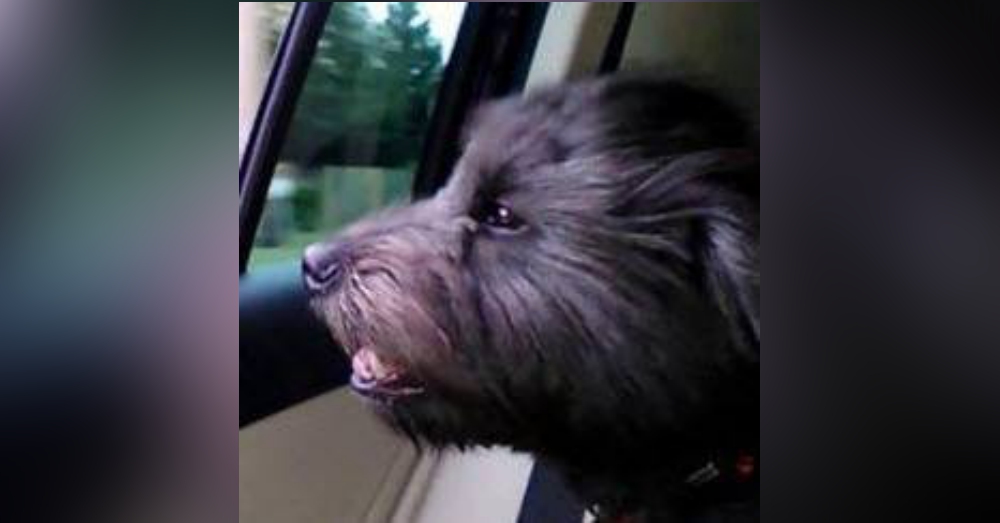 Photo: Facebook/Justice For Meko