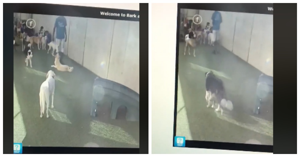 Screen Shots: Facebook/Rachel Mundy